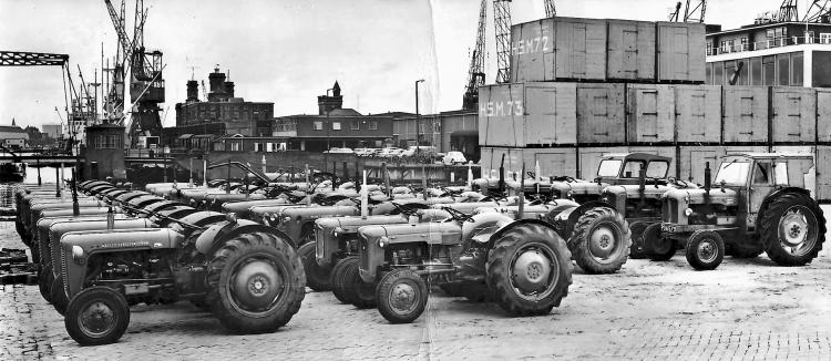 1951 eerste mf trekkers geimporteerd